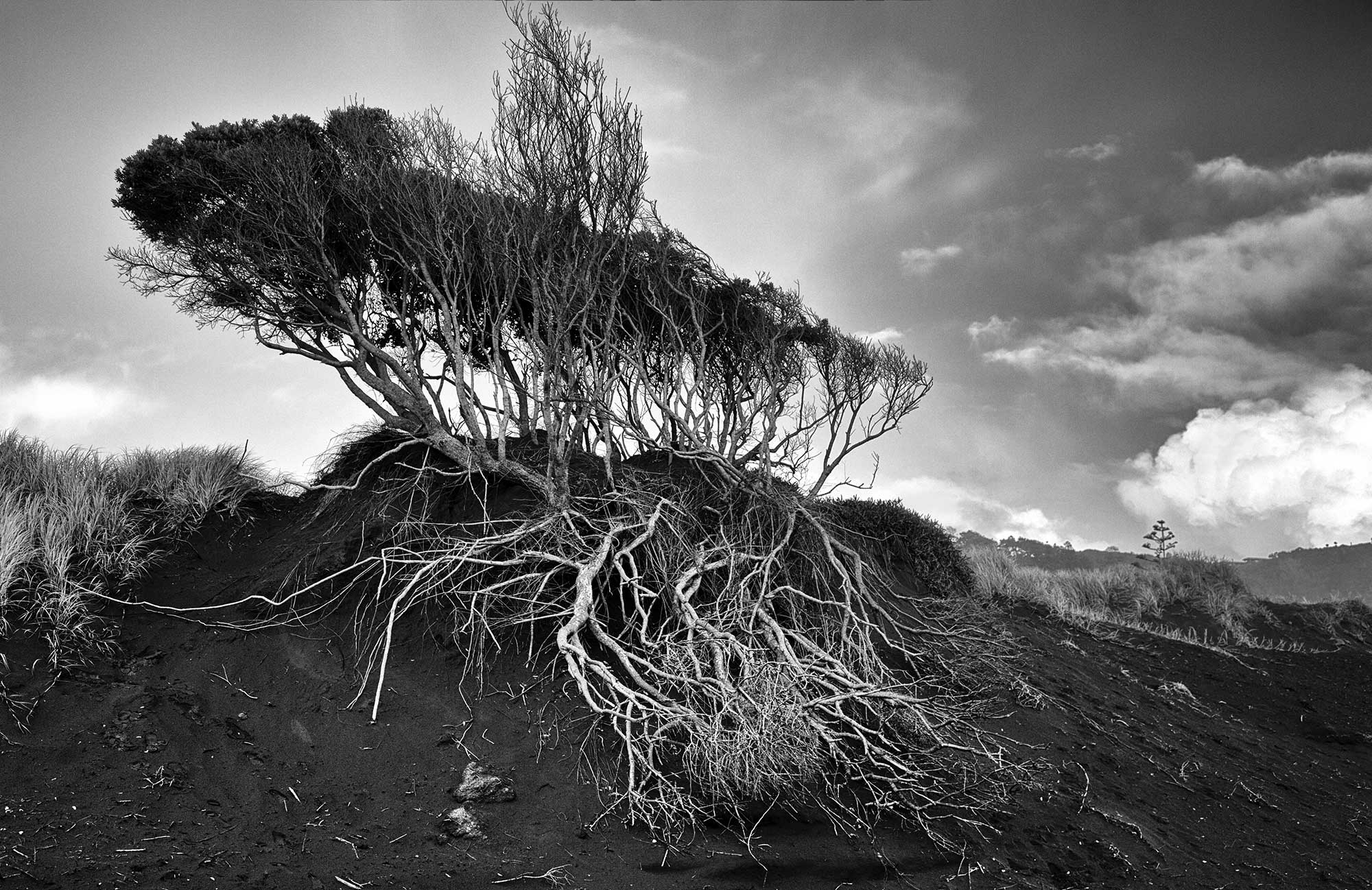 Landscape-03 by PETER NETLEY PHOTOGRAPHY