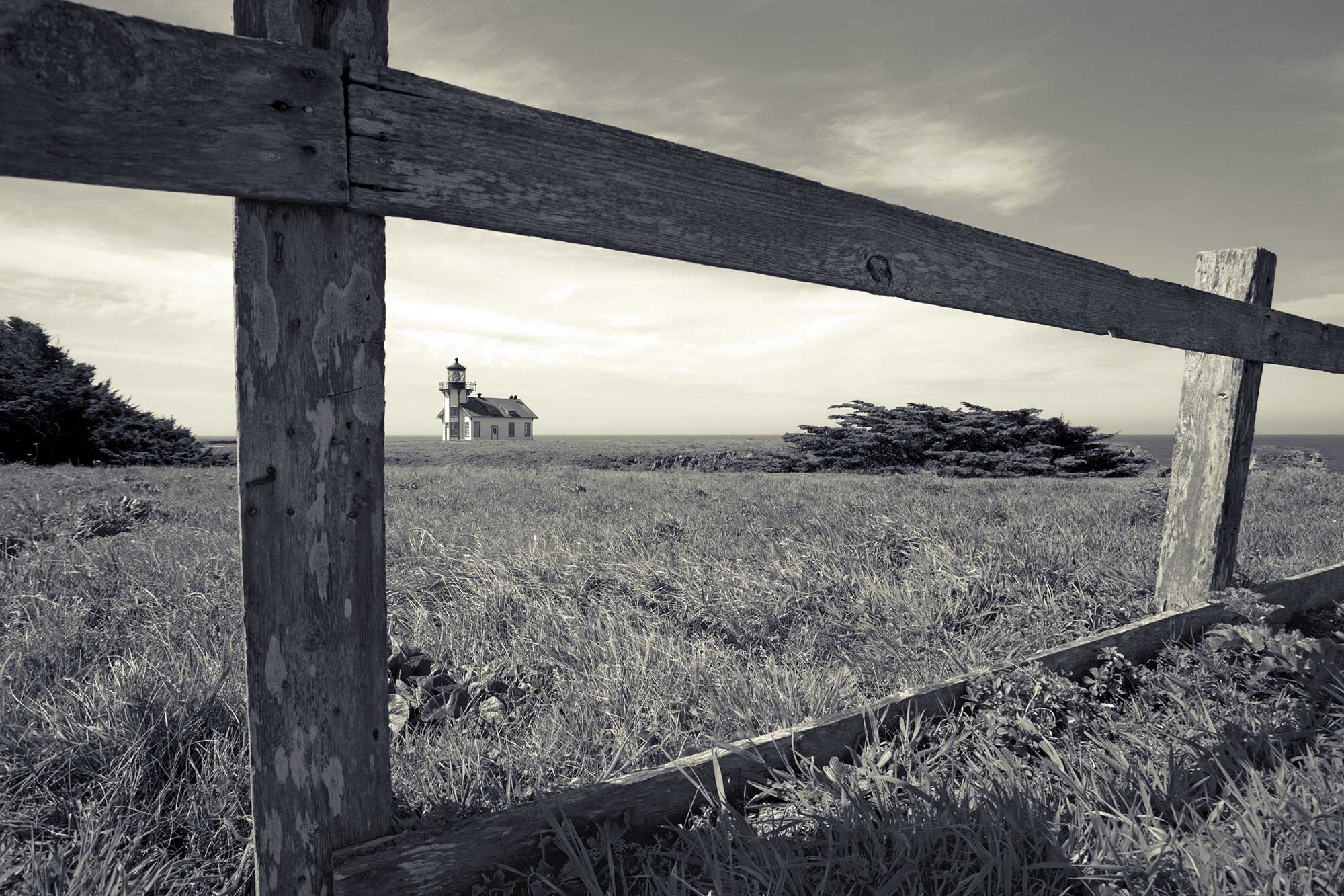 Landscape-13 by PETER NETLEY PHOTOGRAPHY